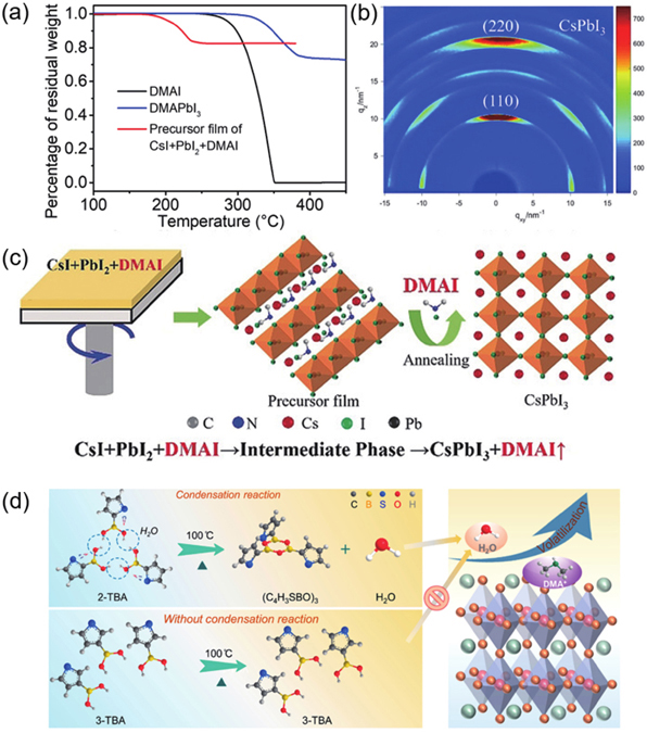 Researching Dimethylammonium Cation Stabilizes All Inorganic