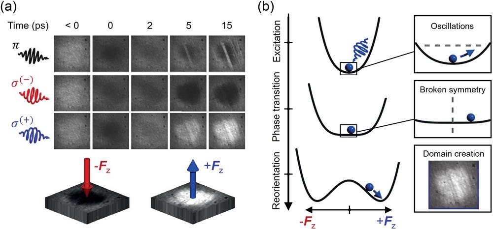 Researching Terahertz Spin Dynamics In Rare Earth Orthoferrites