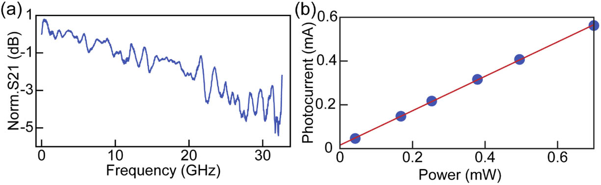 Researching Highly Reconfigurable Silicon Integrated Microwave